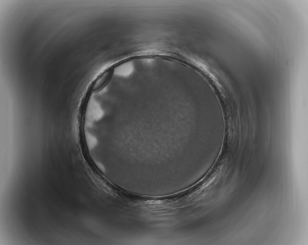 X0000096431463200802141422