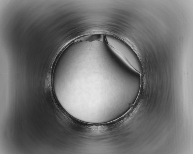 X0000096431465200802141422