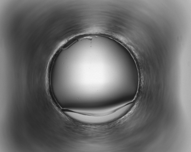 X0000096431469200802141422