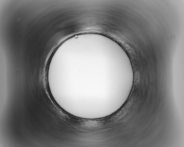 X0000096431470200802141422