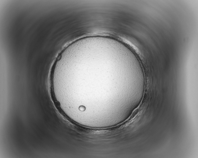 X0000096431471200802141422