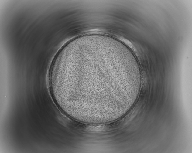 X0000096431474200802141422