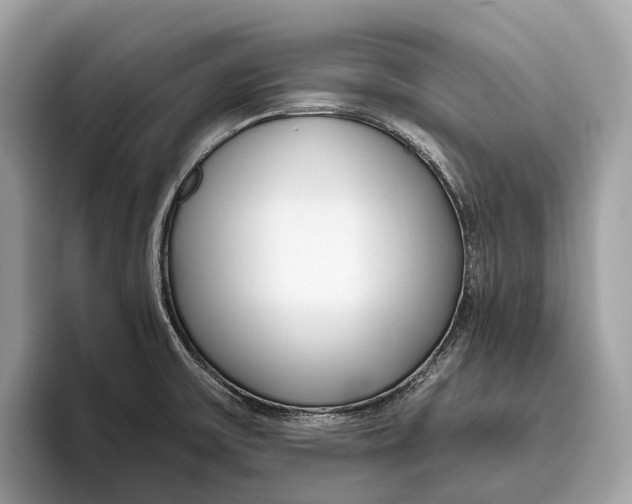 X0000096431475200802141422