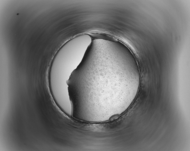 X0000096431476200802141422
