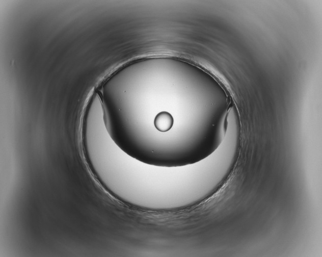 X0000096431477200802141422