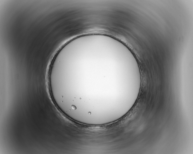 X0000096431478200802141422