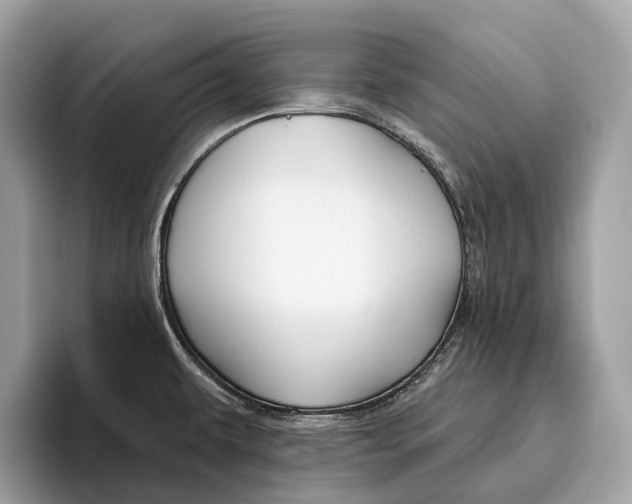 X0000096431479200802141422