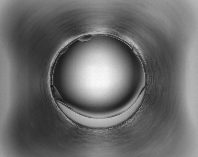 X0000096431480200802141422