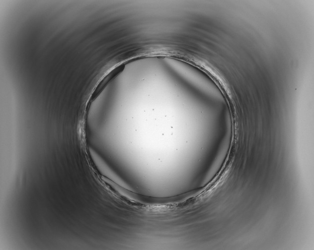 X0000096431481200802141422