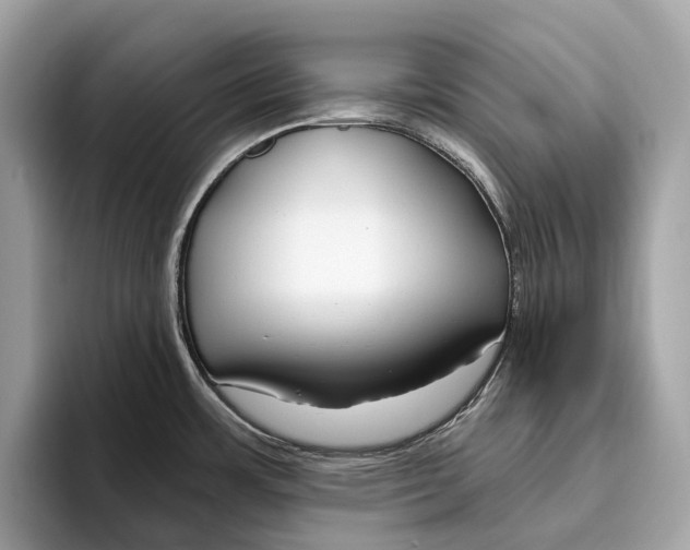 X0000096431483200802141422