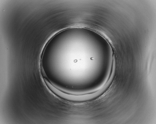 X0000096431484200802141422