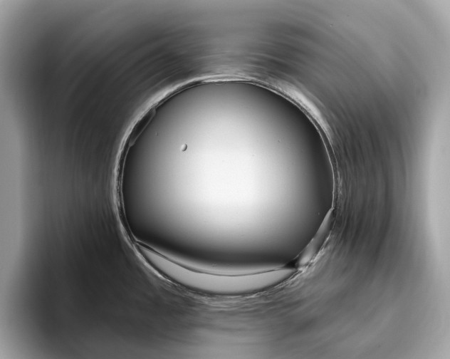 X0000096431485200802141422