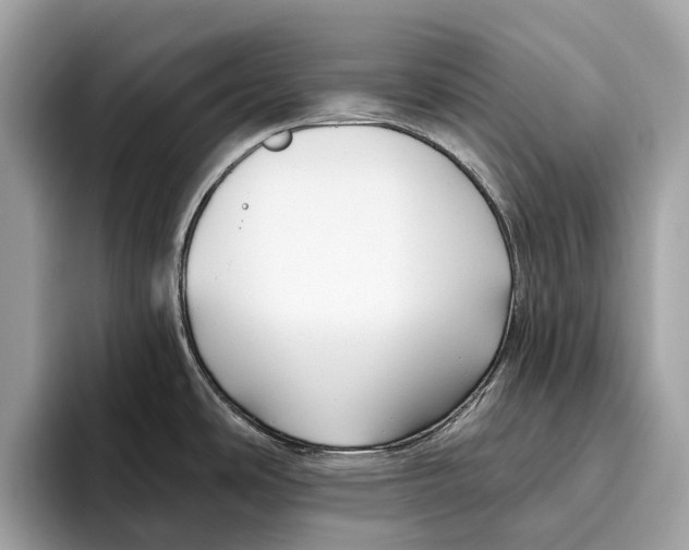 X0000096431486200802141422