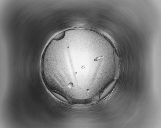 X0000096431487200802141422