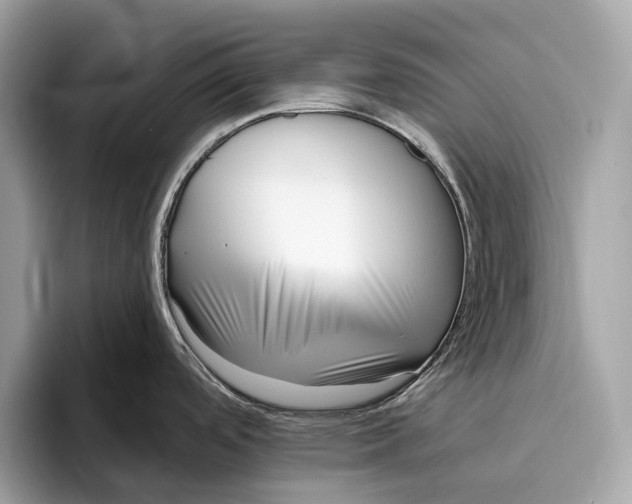 X0000096431488200802141422