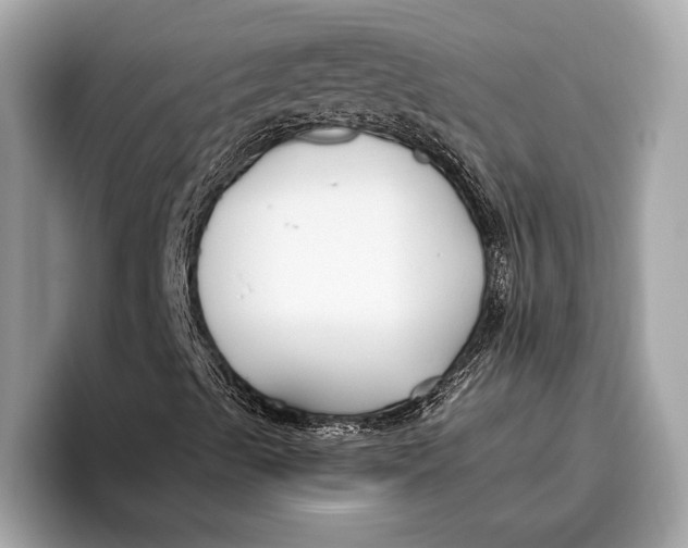 X0000096431489200802141421