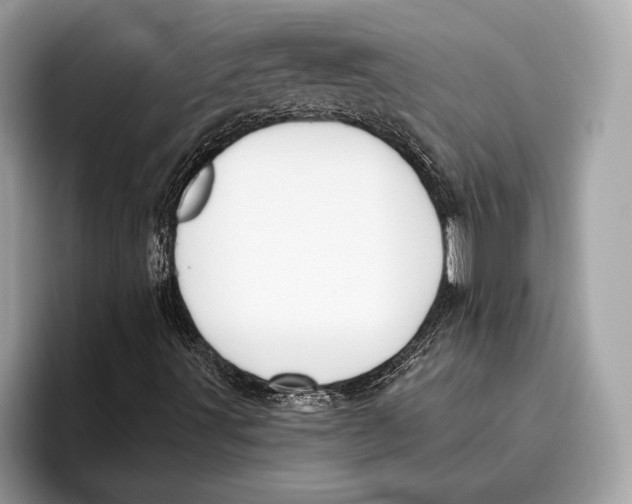 X0000096431491200802141421