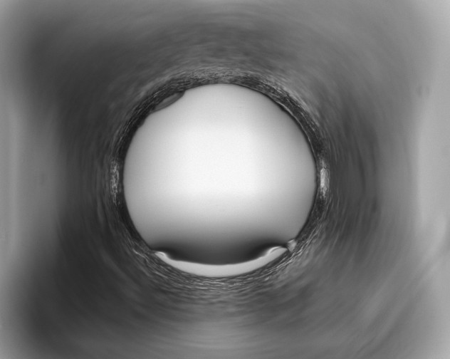 X0000096431492200802141421