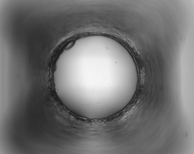 X0000096431494200802141421