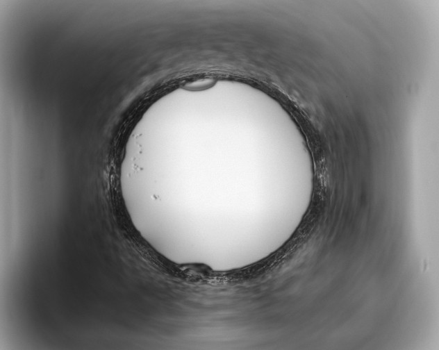 X0000096431495200802141421