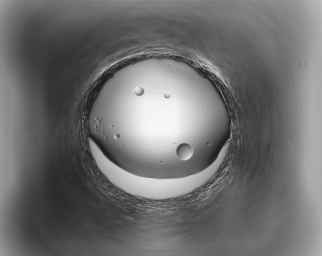 X0000096431496200802141421