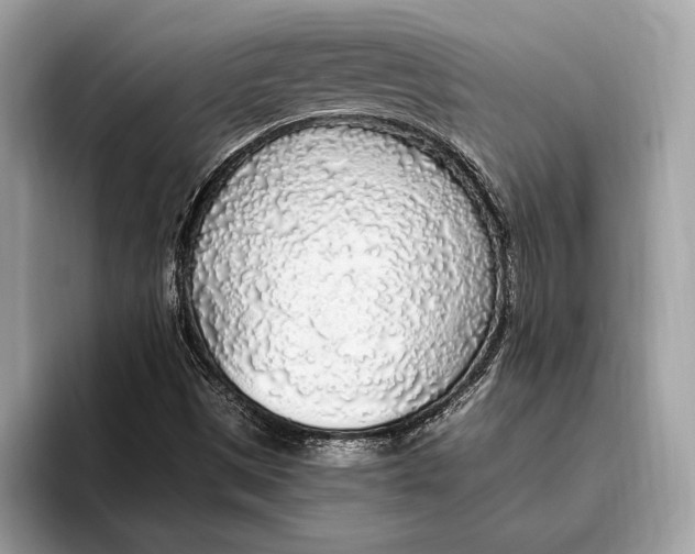 X0000096431497200802141421