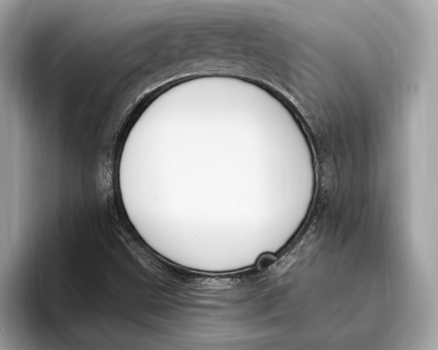X0000096431499200802141421