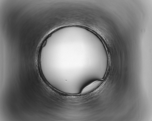 X0000096431500200802141421