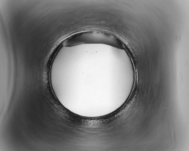 X0000096431501200802141421