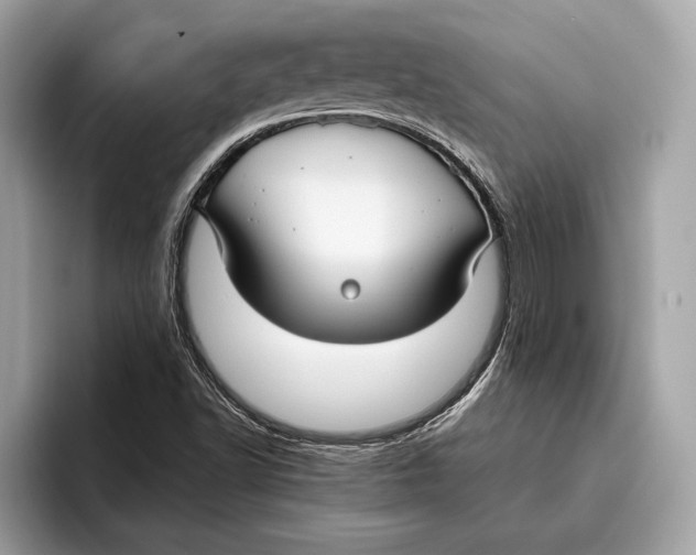 X0000096431502200802141421