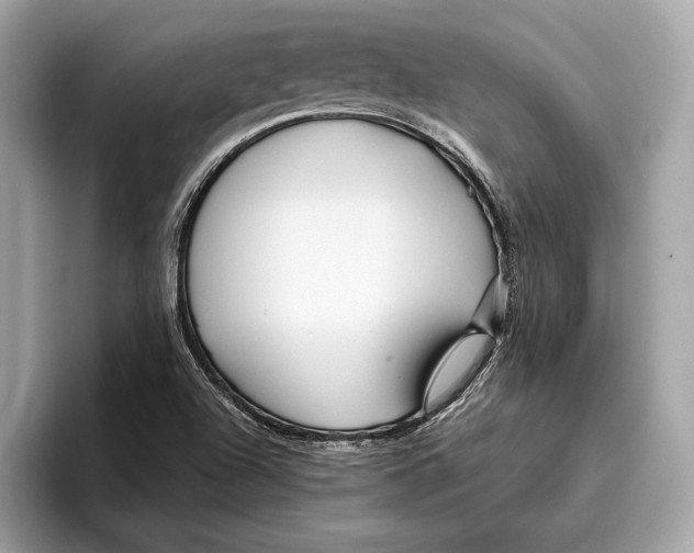 X0000096431504200802141421