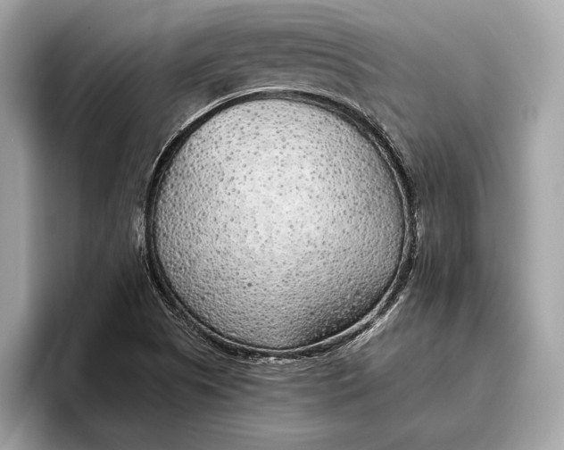 X0000096431505200802141421