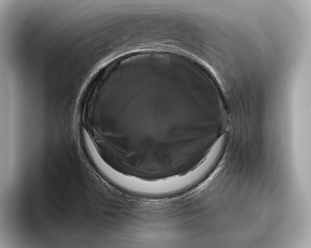 X0000096431506200802141421