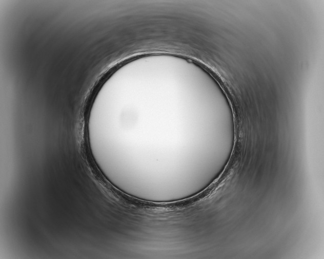 X0000096431507200802141421