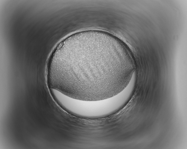 X0000096431508200802141421
