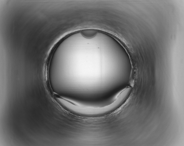 X0000096431510200802141421