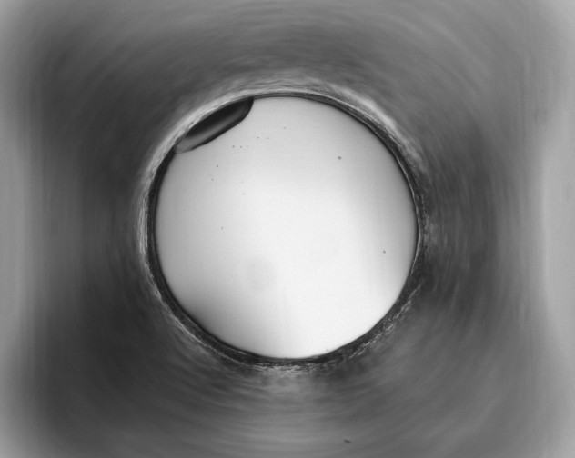 X0000096431512200802141421