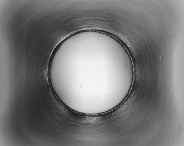 X0000096431513200802141421