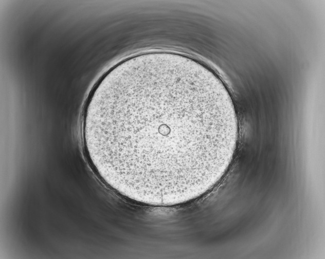 X0000096431514200802141421