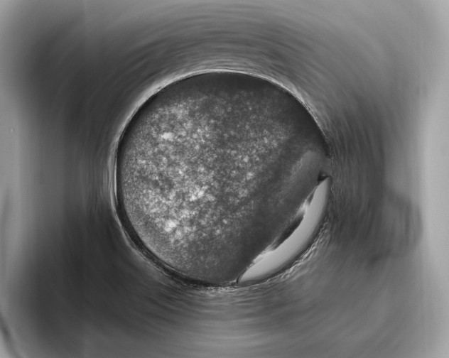 X0000096431515200802141421