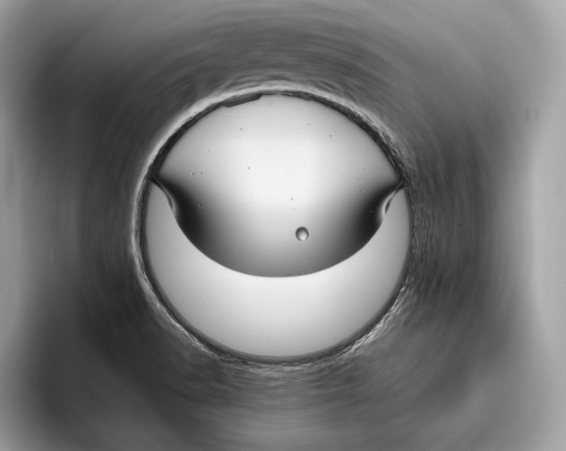 X0000096431518200802141421