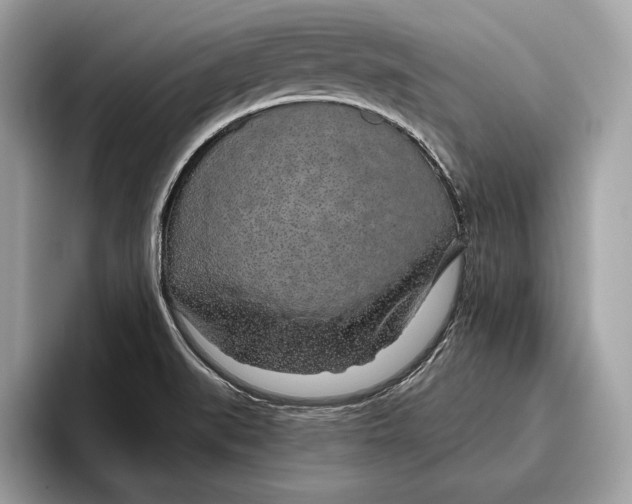 X0000096431519200802141421