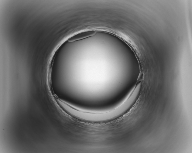X0000096431520200802141421