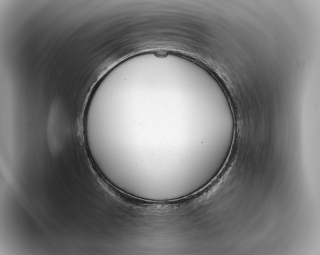 X0000096431521200802141421