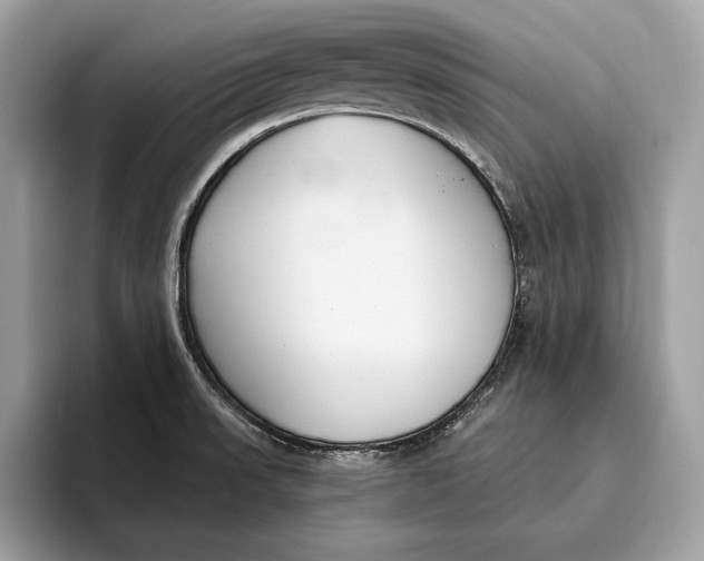 X0000096431523200802141421