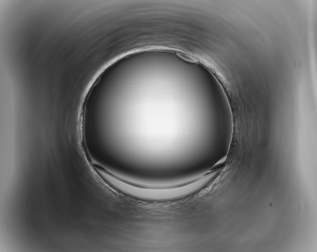 X0000096431524200802141421