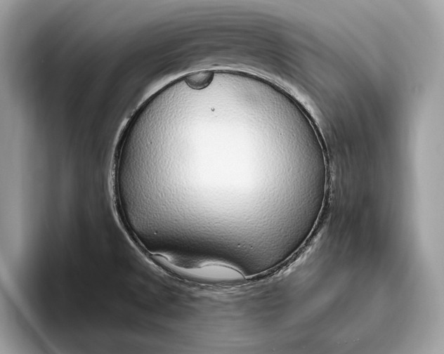 X0000096431525200802141421