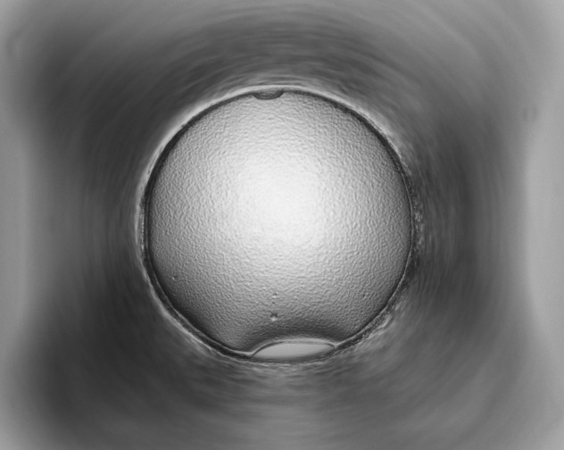 X0000096431527200802141422