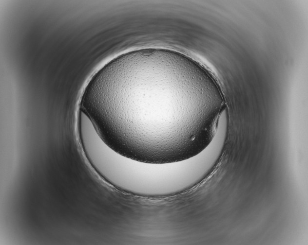 X0000096431528200802141422