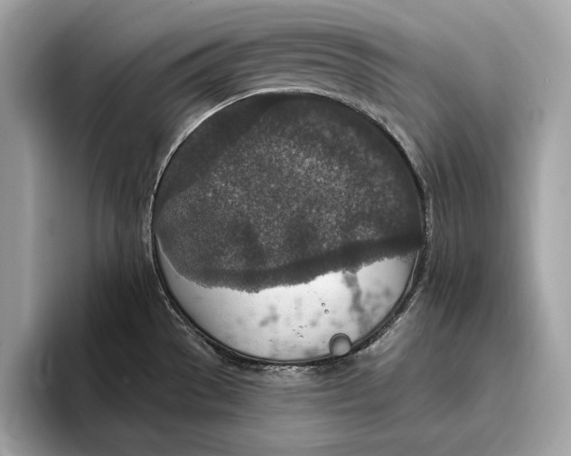 X0000096431529200802141422